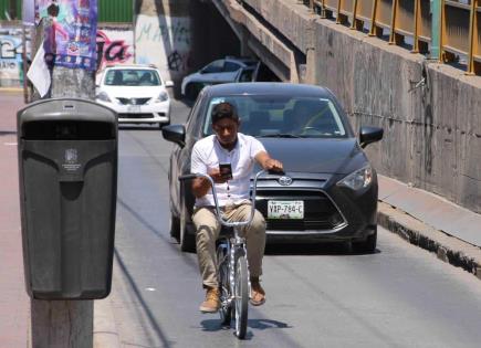 Foto del Día | Distraído