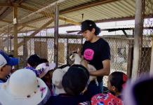 Facultades de la UASLP celebraron el Día del Niño con actividades educativas y donaciones