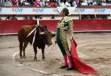 Diego Silveti: Actuaci&oacute;n en Corrida de Toros en Aguascalientes