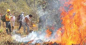 Consume fuego 1,500 ha en abril, reporta Conafor