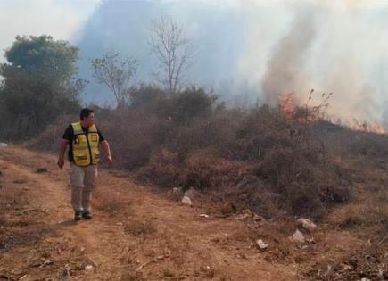 Falta de brigadistas voluntarios en Sinaloa para combatir incendios forestales