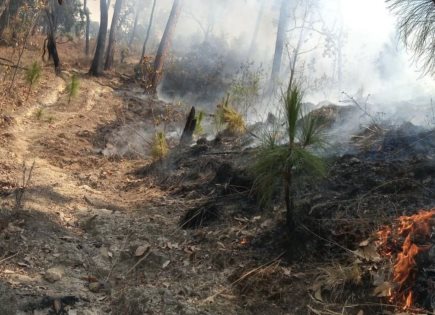 Incendio en zona boscosa de Velo de Novia en Valle de Bravo