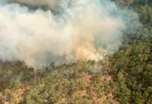 Incendio complicado avanza en Santa María