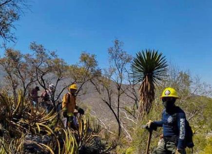 Por fin apagan incendio en Buenavista