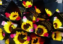 Comercio espera buenas ventas por el 10 de mayo