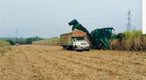 Alista Sader apoyos a productores de ca&ntilde;a de az&uacute;car