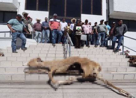 Manifestación de agricultores en Chihuahua por sequía y falta de apoyos