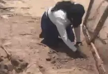 Denuncia de malas pr&aacute;cticas en la Fiscal&iacute;a de Sonora