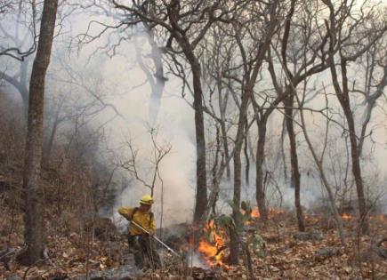 Incendio forestal en la Biosfera Sierra de Huautla