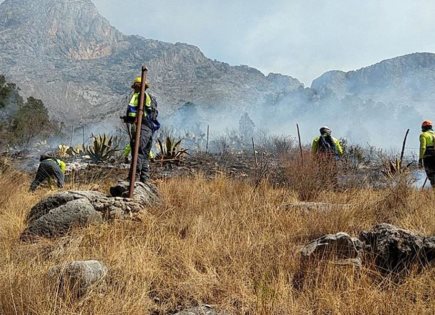 Incendio Forestal en Puerto de Dolores, Nuevo León