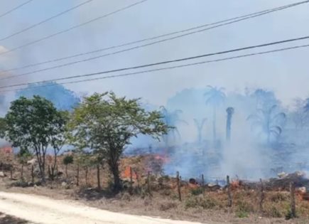 Bomberos luchan contra incendio en terrenos agrícolas
