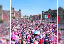 Marcha en Defensa de la Democracia con la Marea Rosa