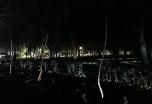 Cenace y la estabilidad del sistema eléctrico en México