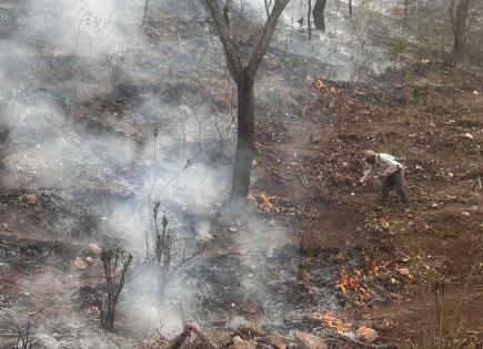 Militares y Brigadistas se Suman para Combatir Incendio en Santa María del Río