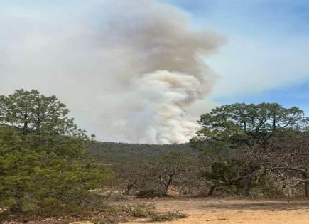 Descartan riesgos para habitantes de Tierra Nueva por incendio