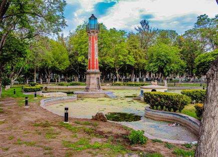 Foto del Día | Ecos de un graznido en la Alameda