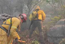 Nuevo incendio forestal en Nuevo León