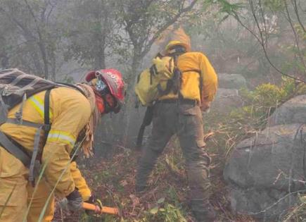 Nuevo incendio forestal en Nuevo León