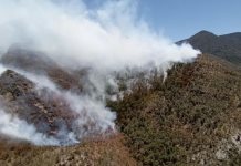 Situación de los Incendios Forestales en Chihuahua