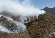 Situación de los Incendios Forestales en Chihuahua