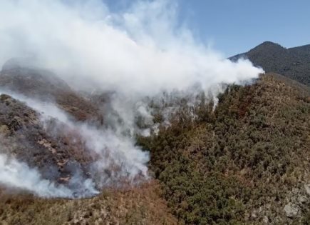 Situación de los Incendios Forestales en Chihuahua