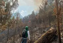 Activos, cinco incendios forestales en municipios: Torres S&aacute;nchez