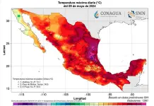 Segunda ola de calor en M&eacute;xico deja al menos 14 muertos y r&eacute;cords de temperaturas