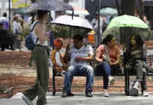 Ola de calor en M&eacute;xico persiste: Lluvias aliviar&aacute;n pero 14 estados superar&aacute;n los 40 grados
