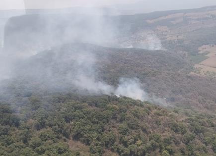 Protección Civil  ataca incendio en Tamasopo con helicóptero y brigadistas