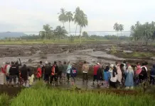 Tragedia por inundaciones y lava fría en Sumatra Tragedia por inundaciones y lava fría en Sumatra