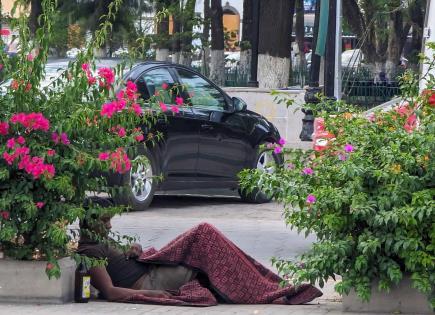 Foto del Día | Un alivio frío, bajo un calor sofocante