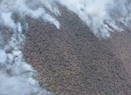 Incendio amenaza Reserva de Biosfera en Tepelmeme Villa de Morelos