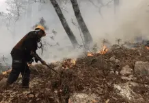 Incendio Forestal en la Sierra Madre Oriental: Actualizaci&oacute;n