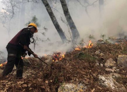 Incendio Forestal en la Sierra Madre Oriental: Actualización