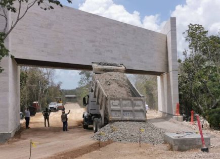 Controversia Legal en la Riviera Maya