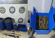 Asegurados 90 kg de marihuana en Metepec durante cateo Asegurados 90 kg de marihuana en Metepec durante cateo
