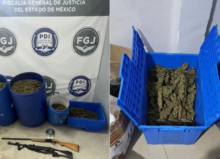 Asegurados 90 kg de marihuana en Metepec durante cateo