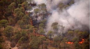 Incendios forestales dañaron dos casas