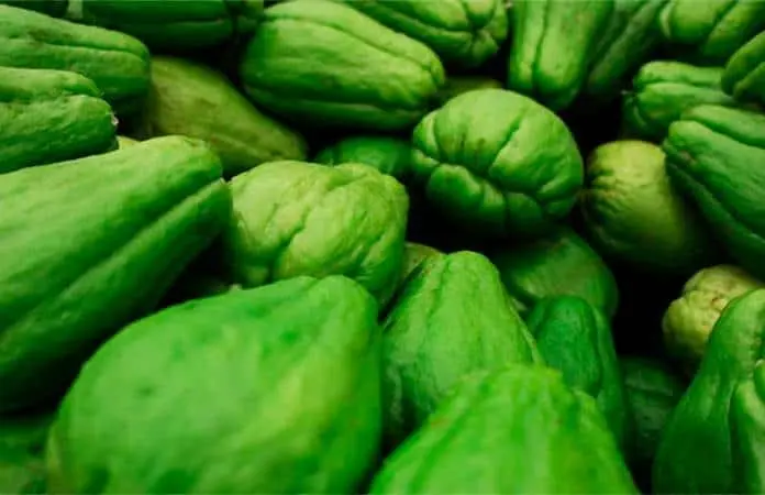 Descubre cómo preparar la ensalada de chayote de forma saludable
