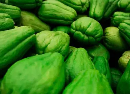 ¿Es mejor comer el chayote con o sin cáscara?