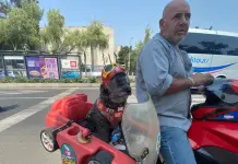 La historia de Frijol, el perro biker que conquista las calles de la Ciudad de México La historia de Frijol, el perro biker que conquista las calles de la Ciudad de México