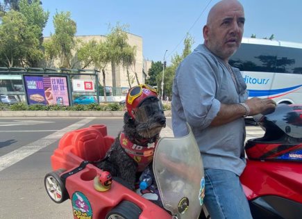 La historia de Frijol, el perro biker que conquista las calles de la Ciudad de México
