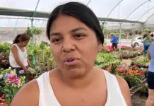 Invita universitaria a plantar &aacute;rboles para aminorar calor