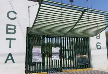 Paros en 18 planteles CBTA por falta de pagos y maestros