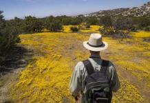 Documentación de la biodiversidad en la frontera México-EEUU