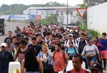 Migrantes volverán a ser carne de cañón para grupos delictivos