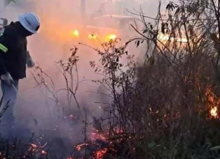 Intensa Temporada de Incendios en Yucatán 2024