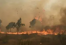 Video | Piden m&aacute;s ayuda tras descontrol de incendio en Ciudad Valles
