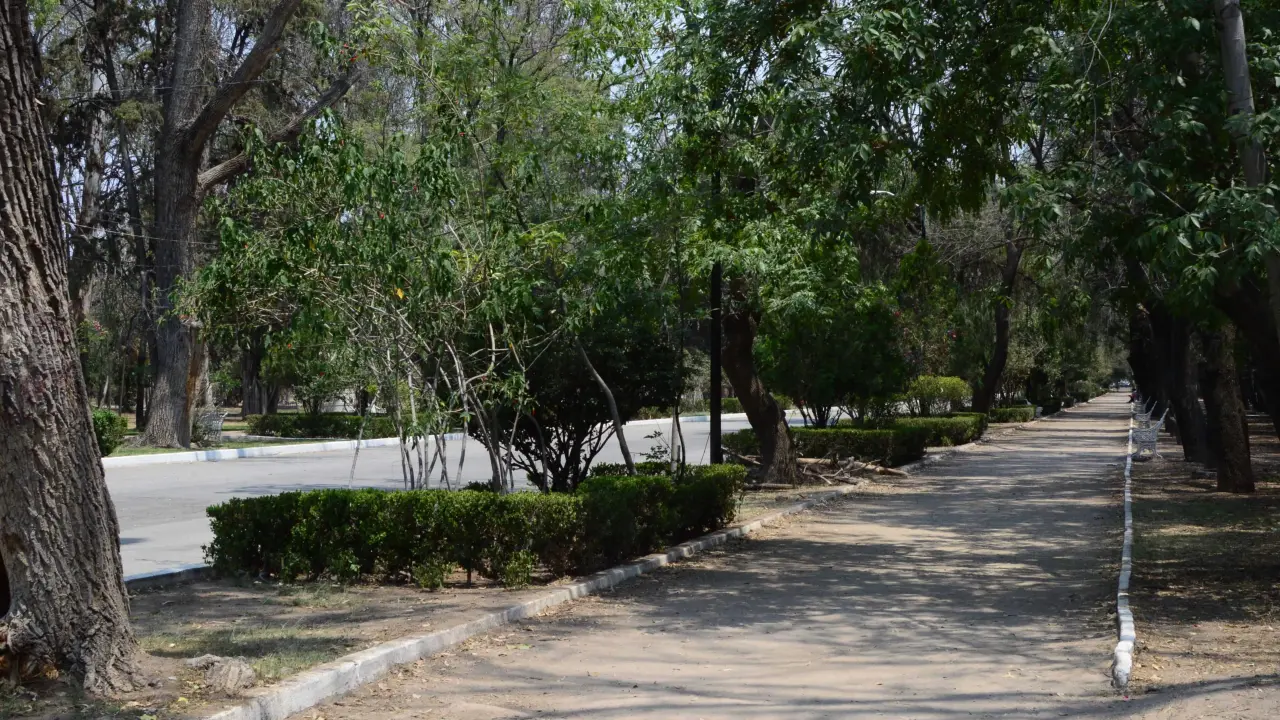 Parque de Morales avanza con proyecto de reforestación y arboretum