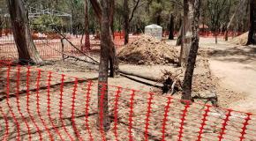 Derriba gobierno el primer árbol en parque de Morales